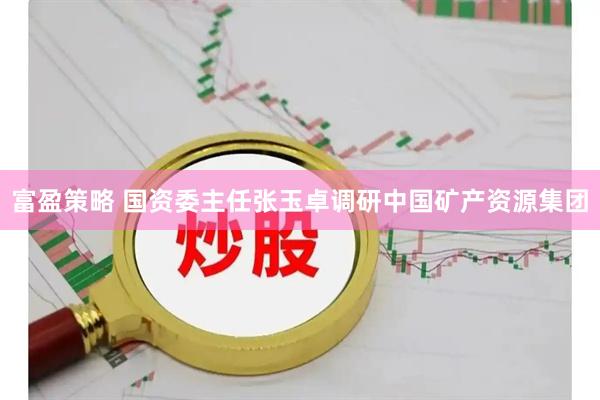 富盈策略 国资委主任张玉卓调研中国矿产资源集团