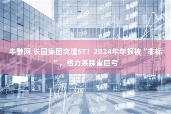 牛融网 长园集团突遭ST！2024年年报被“非标”，格力系踩雷巨亏