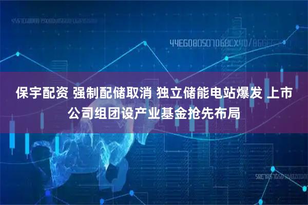 保宇配资 强制配储取消 独立储能电站爆发 上市公司组团设产业基金抢先布局