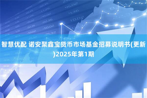 智慧优配 诺安聚鑫宝货币市场基金招募说明书(更新)2025年第1期