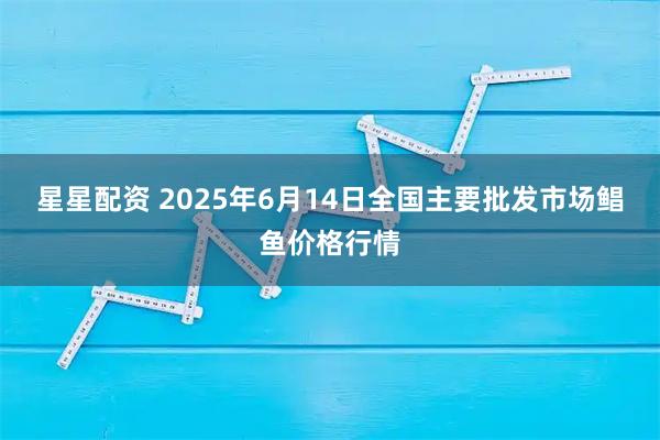 星星配资 2025年6月14日全国主要批发市场鲳鱼价格行情