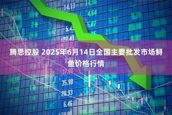 腾思控股 2025年6月14日全国主要批发市场鲟鱼价格行情
