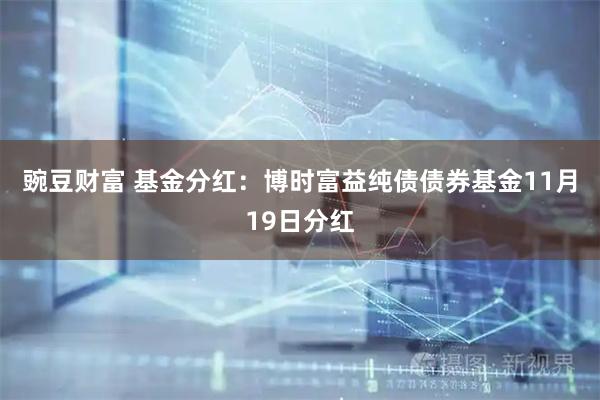 豌豆财富 基金分红：博时富益纯债债券基金11月19日分红